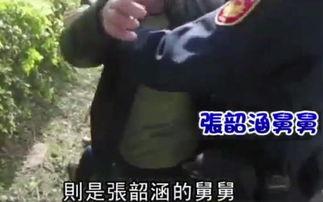 舅舅爆料视频大全集免费观看,独家揭秘，免费观看